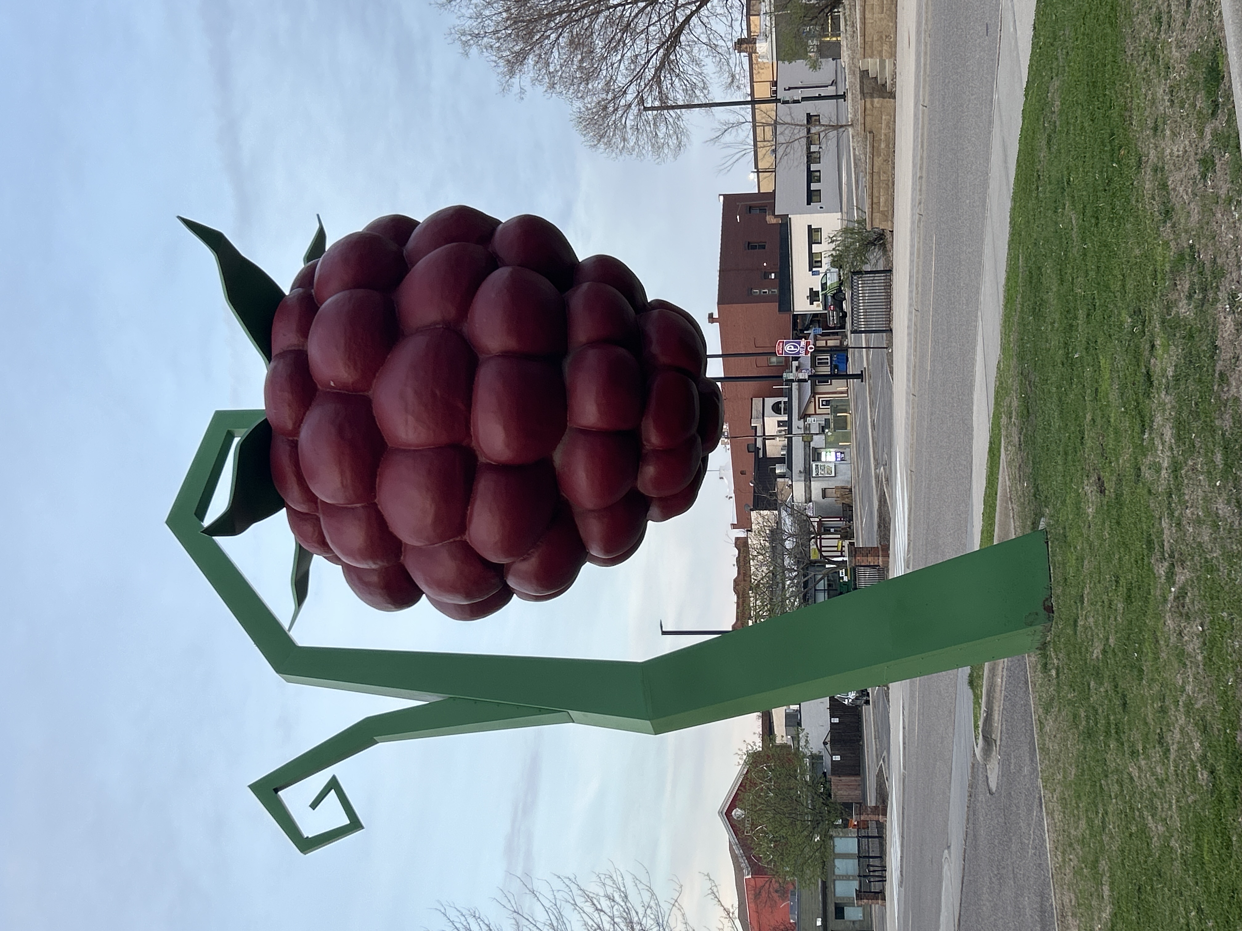 World Biggest Raspberry The World’s Largest Raspberry by Ben Janssens | Wonder Wander | Wonder ...