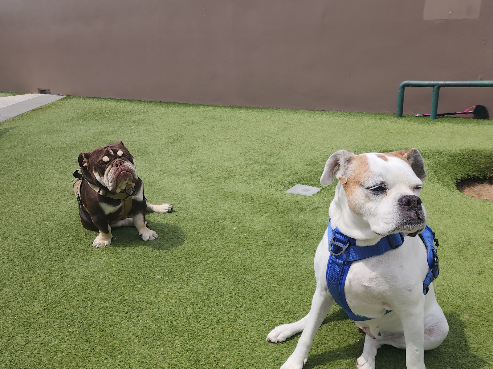 Public Art "Los Angeles Opens Its Heart of Compassion"