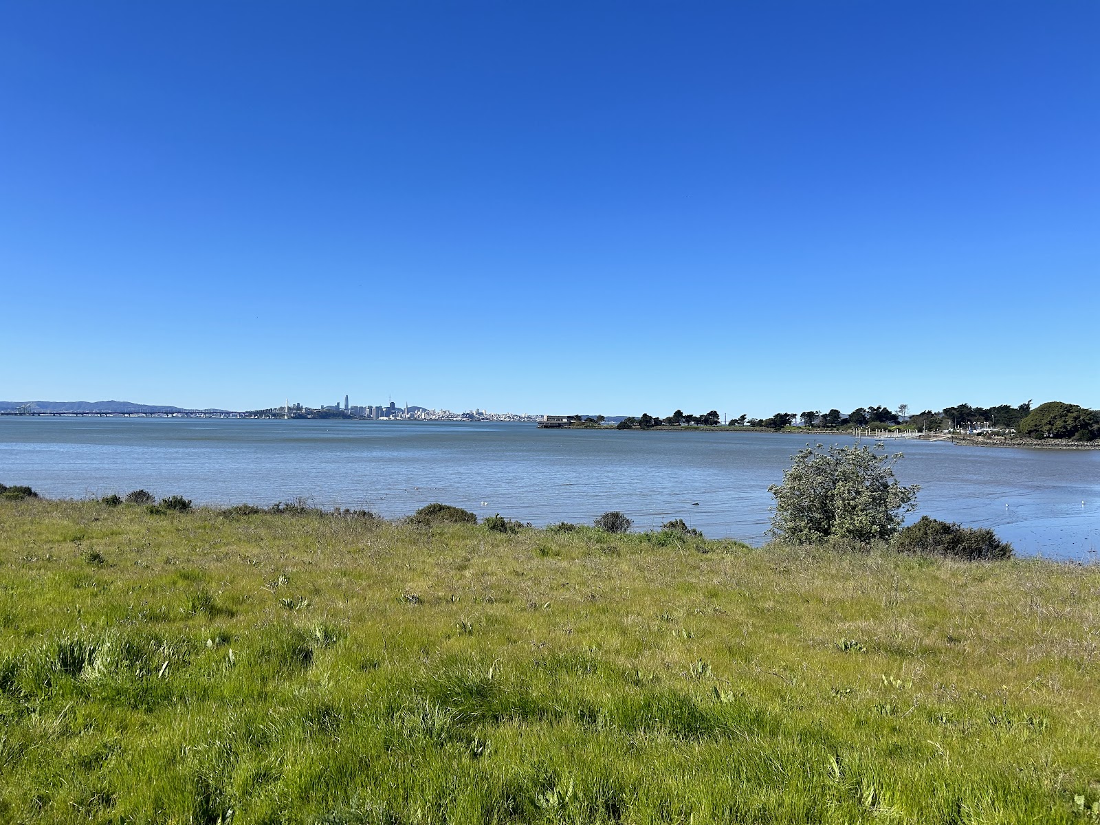 McLaughlin Eastshore State Park State Seashore